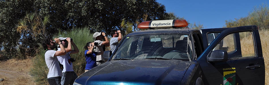 MAYASA offers guided routes  on 4x4 vehicles through the Dehesa de Castilseras