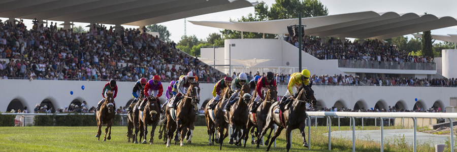 Hipódromo de La Zarzuela approves its first Strategic Plan