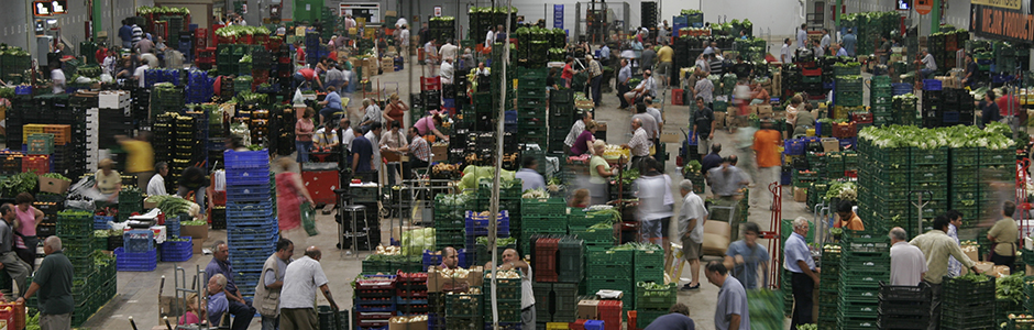 MERCASA: récord histórico en la venta de alimentos en la red de Mercas durante 2018 