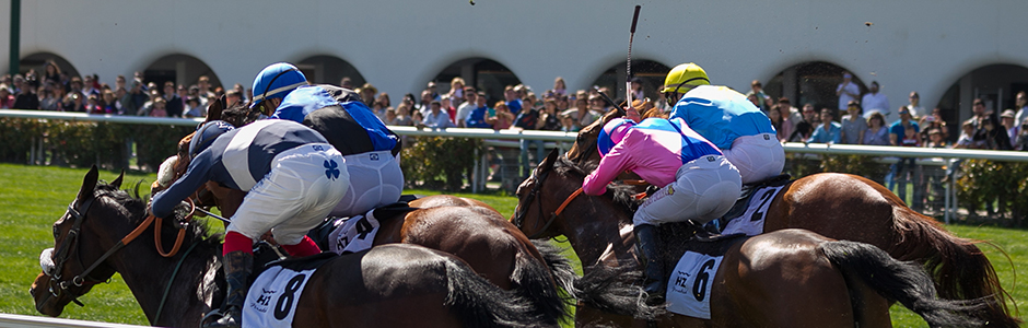 Hipódromo de La Zarzuela announces the Horse Races Program for 2020