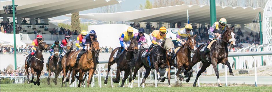El Hipódromo de La Zarzuela inicia la temporada de carreras de caballos 2020