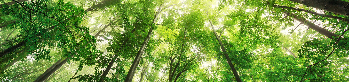 Medioambiente