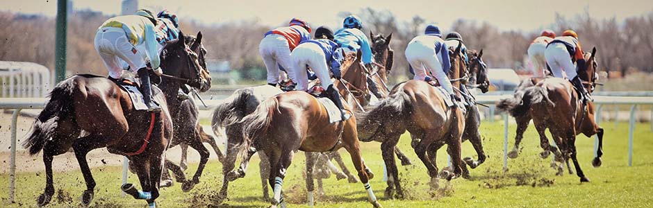 The autumn Season begins at Hipódromo de La Zarzuela