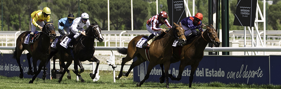 Mr. Álvaro Gutiérrez de la Fuente appointed Chairman of Hipódromo de la Zarzuela