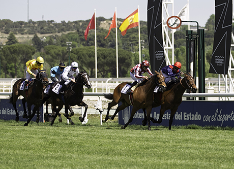 El Hipódromo de La Zarzuela inaugura la temporada 2019 con 36 jornadas y más de 3.600.000 euros en premios