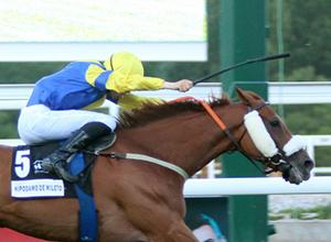 Ganador del Gran Premio Madrid 2019.