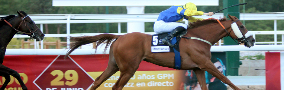 Hipódromo de La Zarzuela celebrates the 100th anniversary of the Gran Premio de Madrid