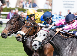 Carrera de caballos en el Hipódromo de La Zarzuela.