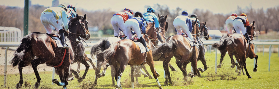 Domingo 15 de septiembre: arranca la temporada de otoño en el Hipódromo de La Zarzuela