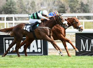 El Hipódromo de La Zarzuela inicia la temporada de carreras de caballos 2020