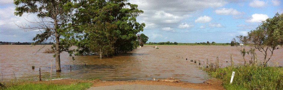 SAECA: Requests for guarantees for loans for farming estates affected by extreme weather events can be submitted 