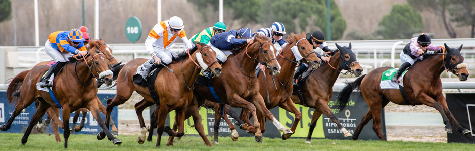 El Hipódromo de La Zarzuela reabre sus puertas al público este domingo