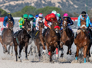 Carrera de caballos en el Hipódromo de La Zarzuela.