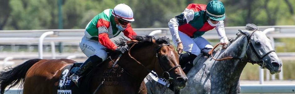 A new Season begins at the horse racetracks of Hipódromo de La Zarzuela