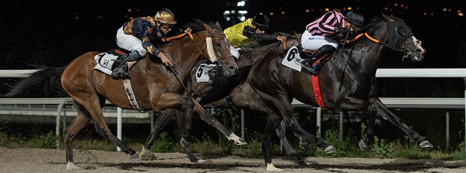 Comienzan las carreras nocturnas de la temporada de verano en el Hipódromo de La Zarzuela