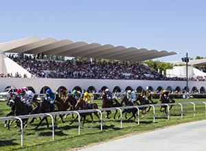 Carreras de caballos en el hipódromo de Madrid.