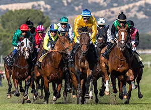 Carreras de caballos en el hipódromo de Madrid