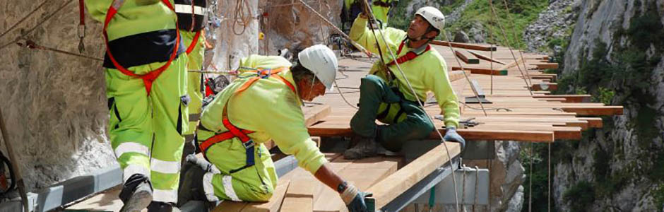 El Grupo TRAGSA cuenta con un nuevo Plan Estratégico para el periodo 2024-2028