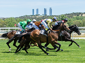 Carrera de caballos en el Hipódromo de La Zarzuela