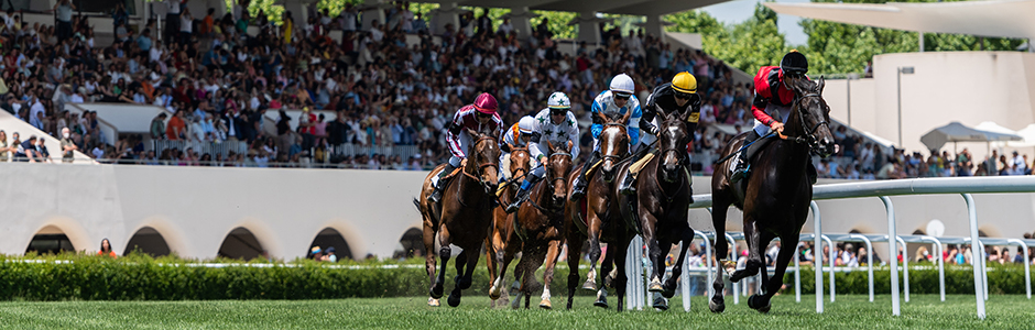 On Friday September 8th, the Autumn season begins at Hipódromo de La Zarzuela