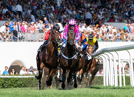 Carreras de caballos en el Hipódromo de La Zarzuela