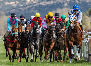 Carrera de caballos en el Hipódromo de La Zarzuela