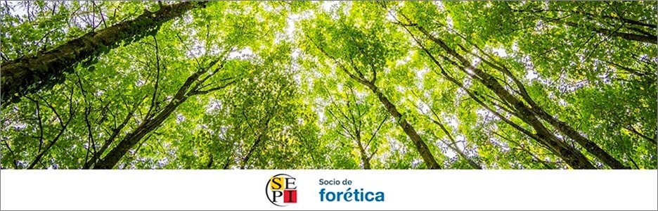 SEPI se incorpora a Forética para fortalecer su política común de ESG