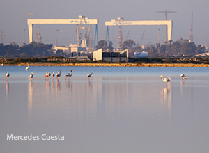 Sostenibilidad de NAVANTIA