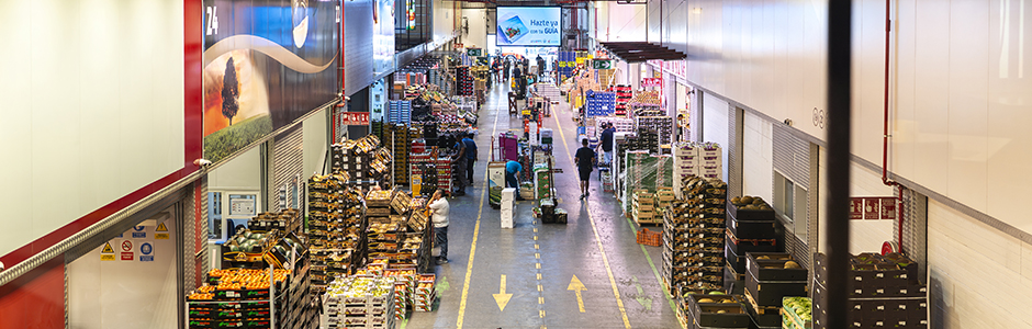 MERCASA eleva su beneficio consolidado hasta los 45,5 millones de euros en 2025 y refuerza su papel estratégico en la cadena alimentaria